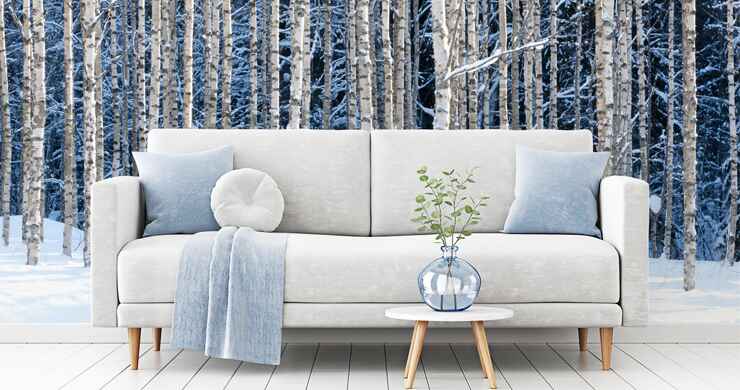 Seasonal Cleaning Services for Seniors in Toronto and GTA